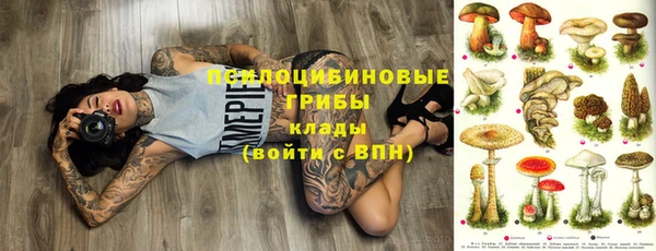 a pvp Киреевск