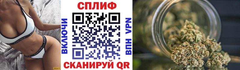 Шишки марихуана Amnesia  Нея 